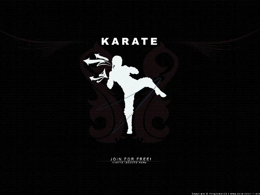 Beautiful karate sport photo with a black background for girl's profile