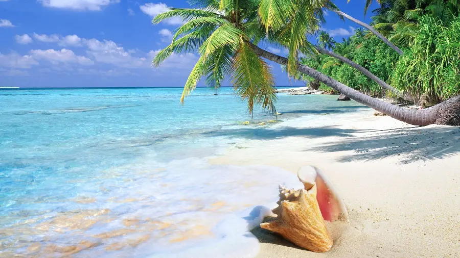 Amazing photos of tourist attractions on the Caribbean coast
