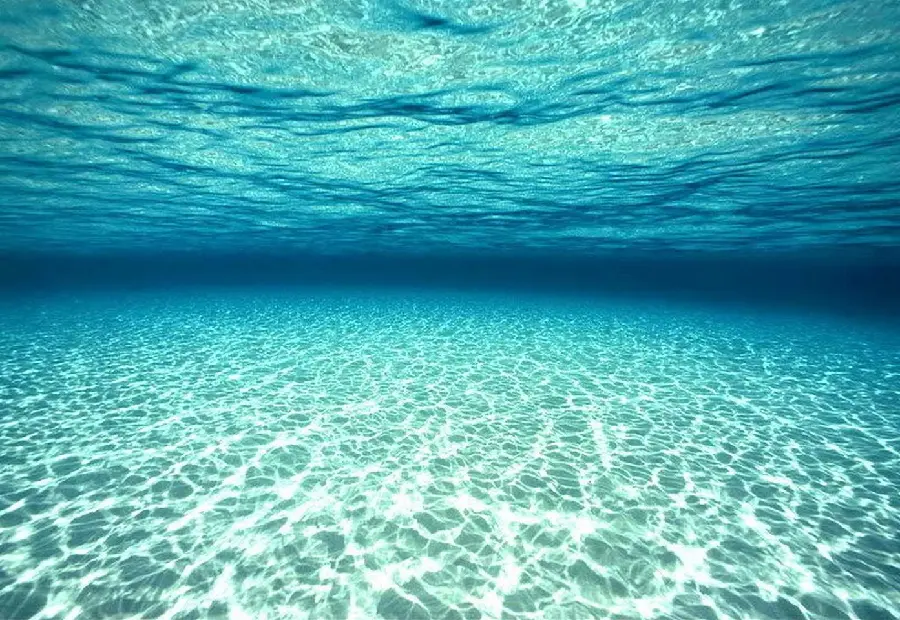 Download Underwater World wallpaper in full HD quality