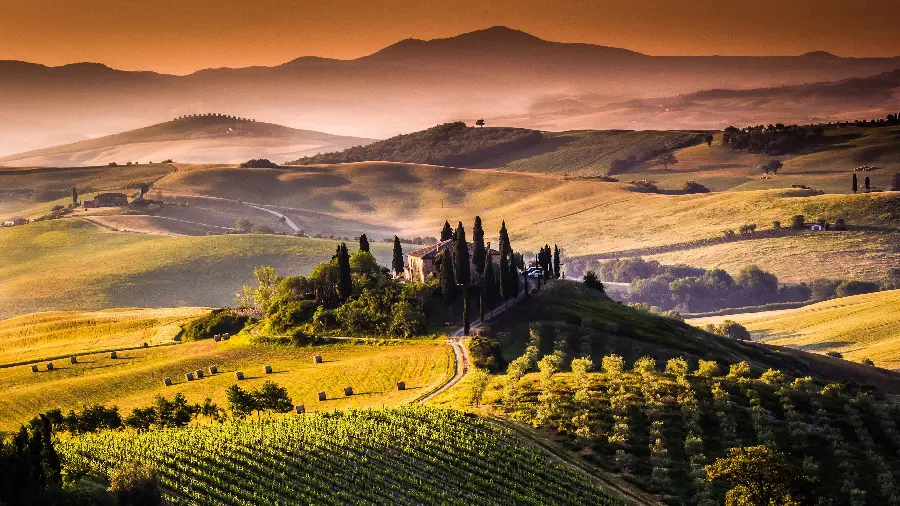 Green nature wallpaper and background for phone with hills and cypress trees