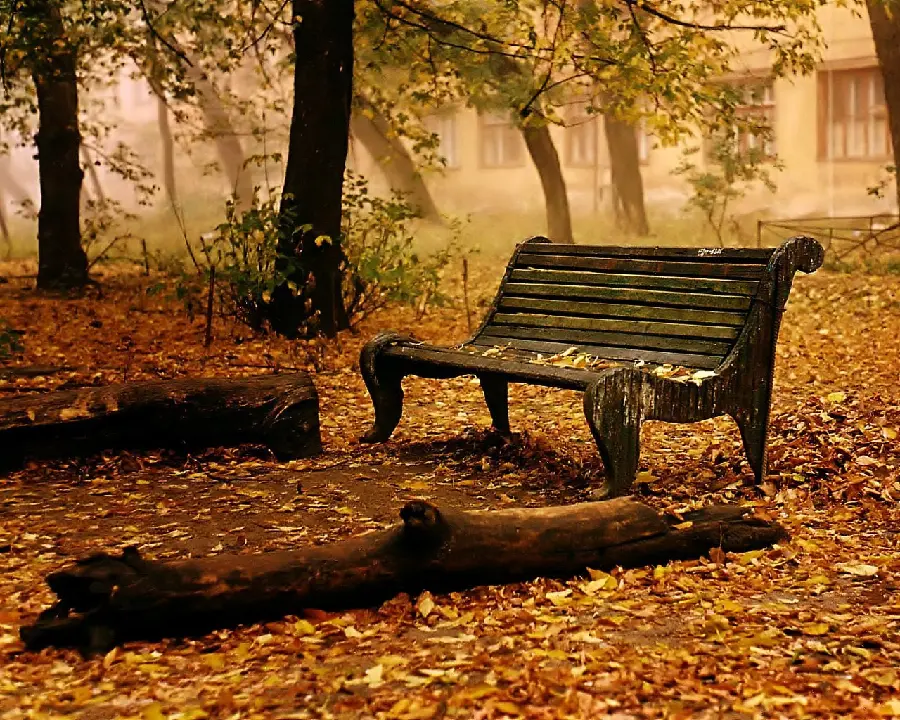 Alone Bench Photo with Tree Stumps and Autumn Leaves for Social Media Profile