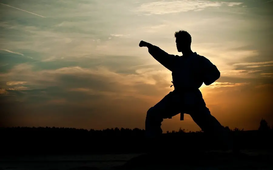 Karate Martial Art Wallpaper for Computer and Laptop Backgrounds
