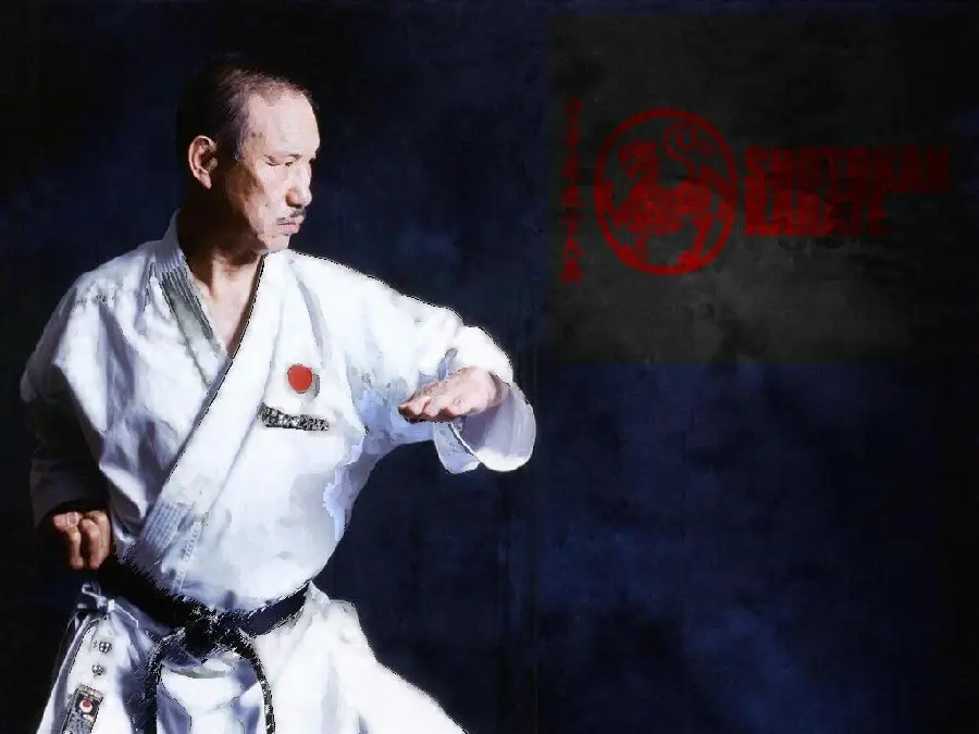 Photo of a Karate Master in the Japanese Shotokan Style for Wallpaper