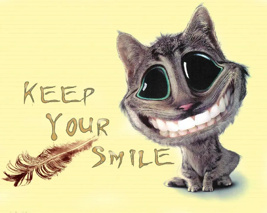 Funny wallpaper of a cat and its laughter