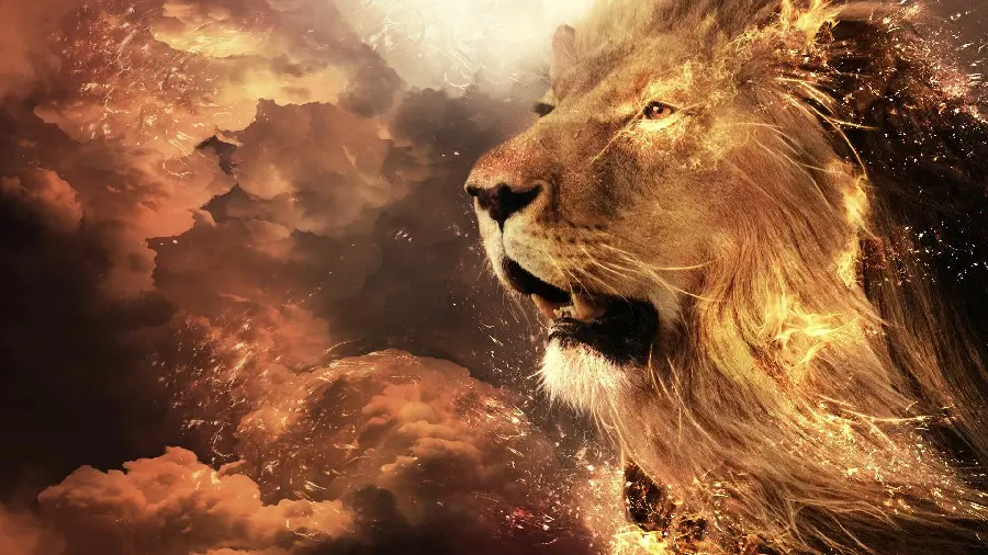 Beautiful wallpaper of a lion with a special design