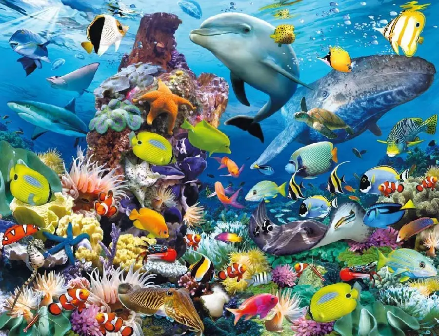 Beautiful Ocean Fish Photos in Full HD Quality