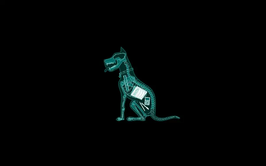 Funny and interesting background of a dog with a math theme for your profile