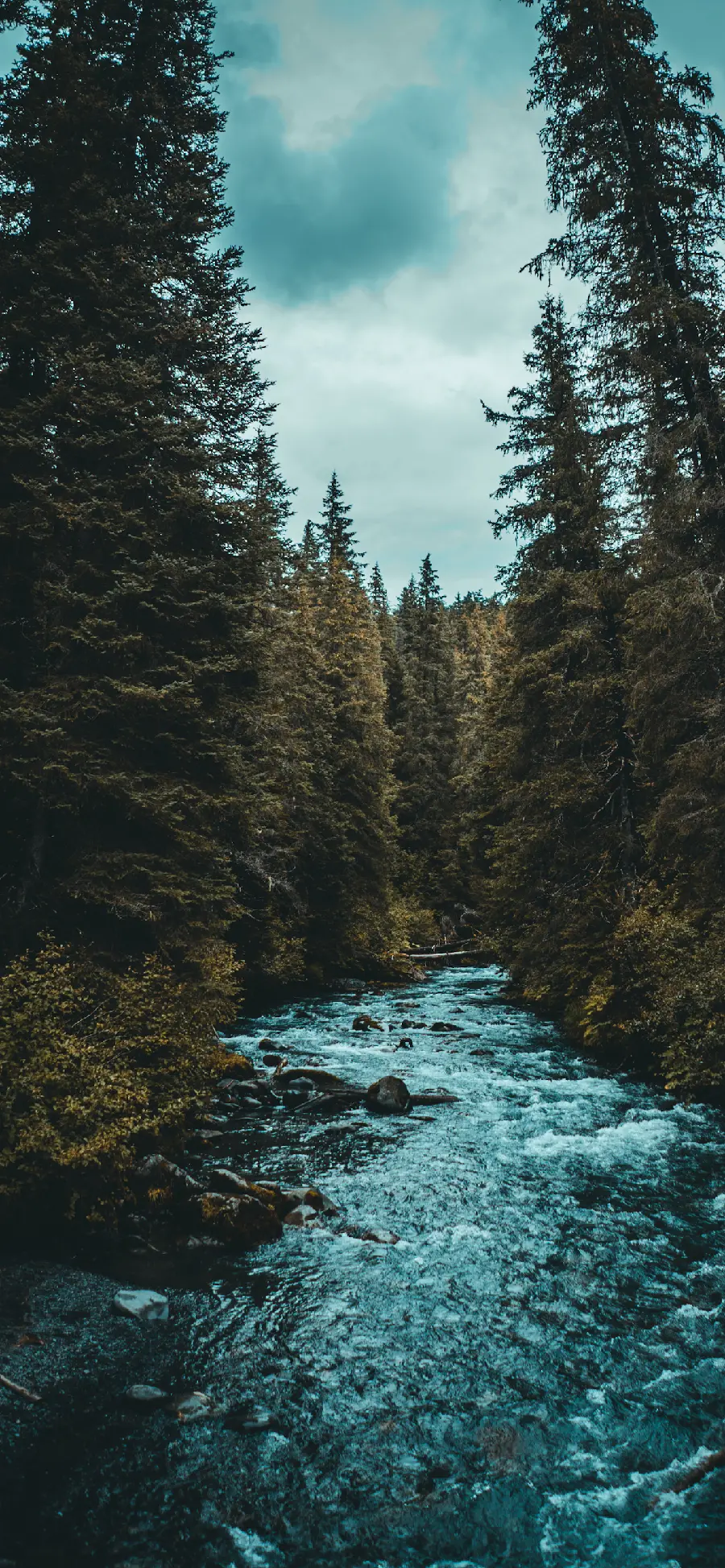 River-themed nature wallpaper for iPhones