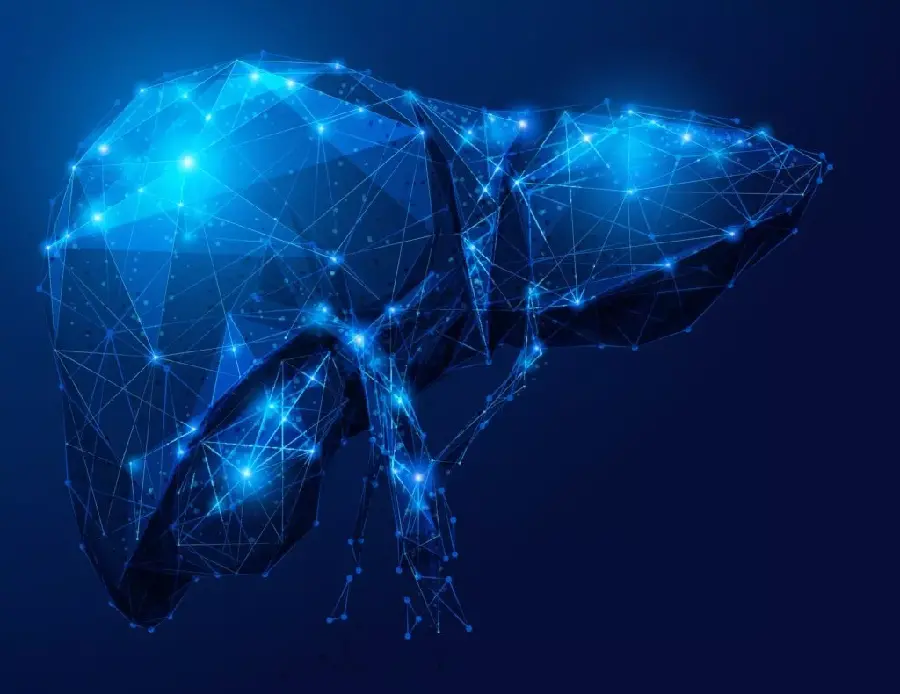 Human liver background for laptop and computer wallpaper