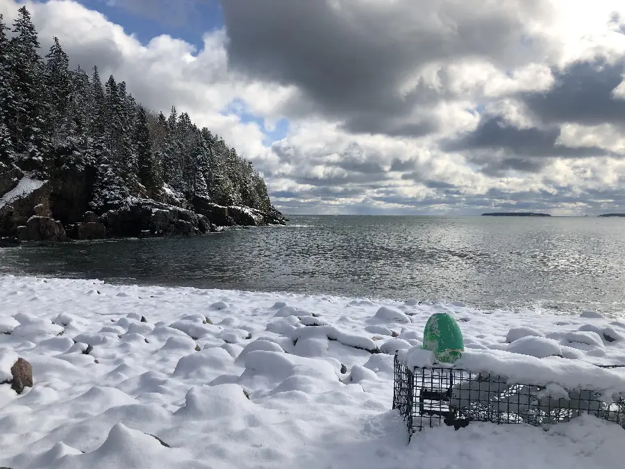 Photo of Acadia National Park in winter