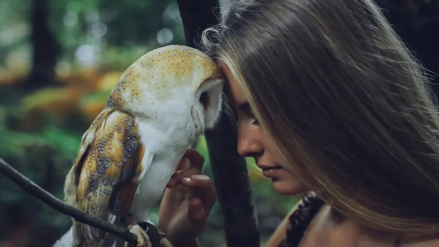 Fantasy girl photo with wild owl for mobile background