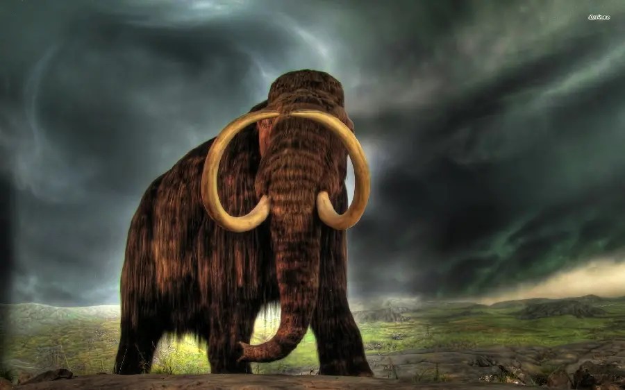 Lonely and Old Mammoth Wandering in Amidst cloudy weather