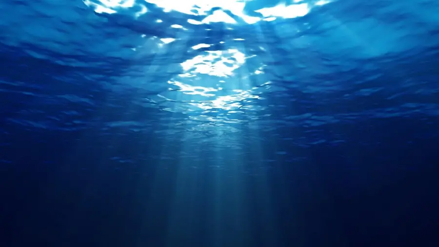 A wonderful picture of the world below High quality water