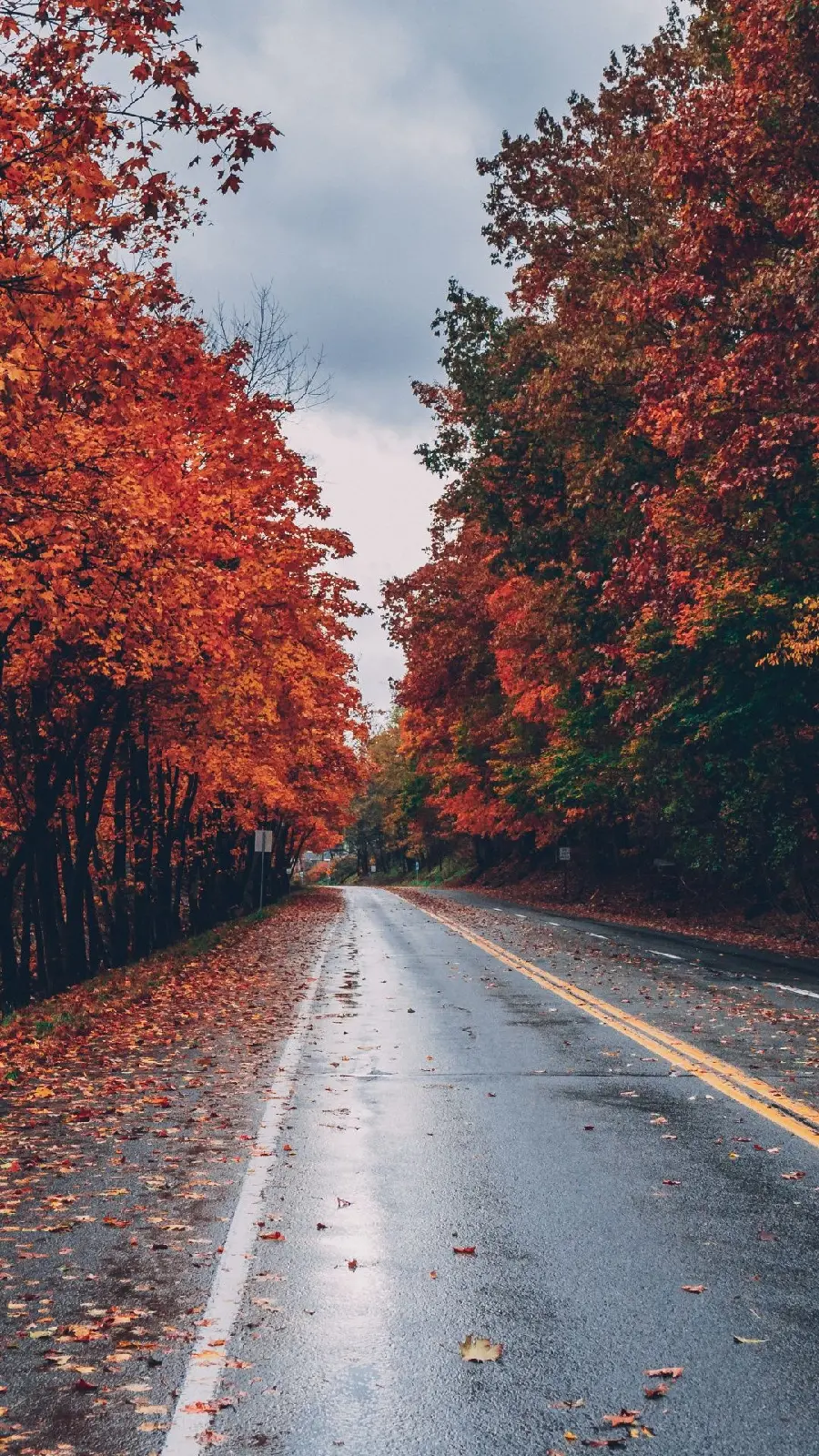 Background of the road and the autumn season for Photoshop in HD quality
