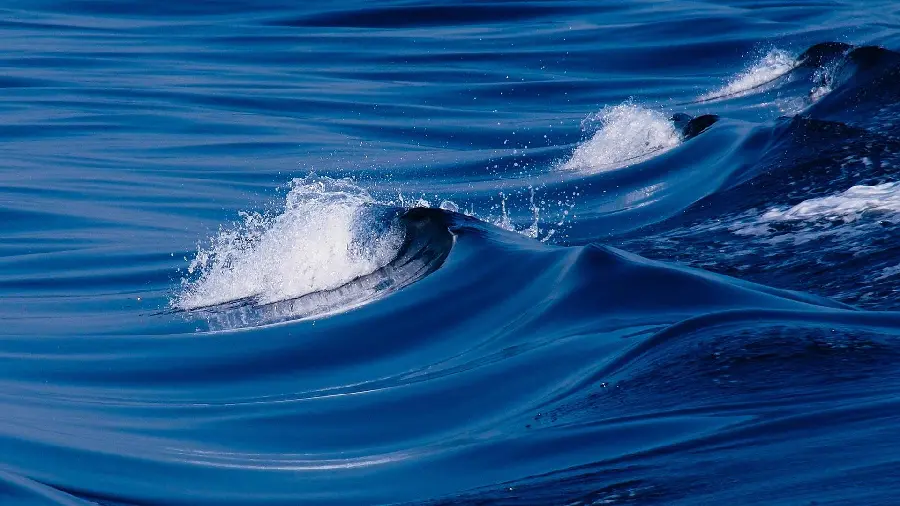 Blue ocean landscape wallpaper and Calm high quality