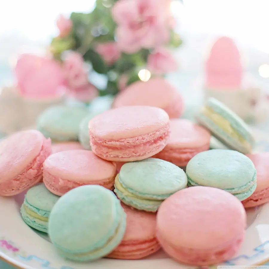 Pink and Green Macaron Sweets Wallpaper