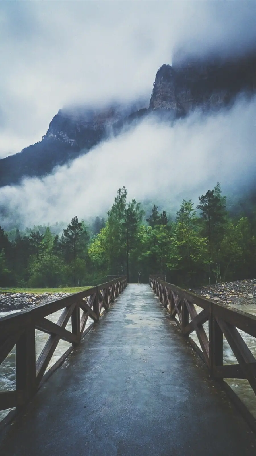 Download Apple iOS 11 background wallpaper with a bridge and rainforest trees in the fog