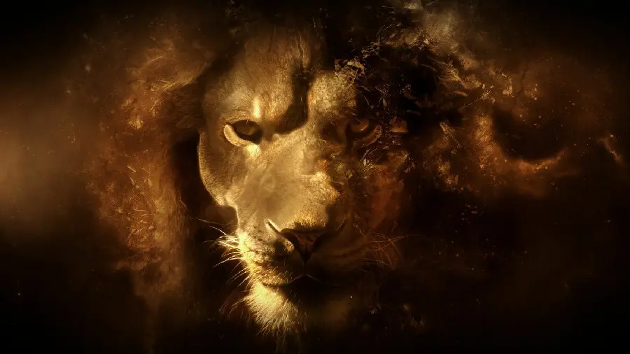 Wallpaper of a beautiful male lion