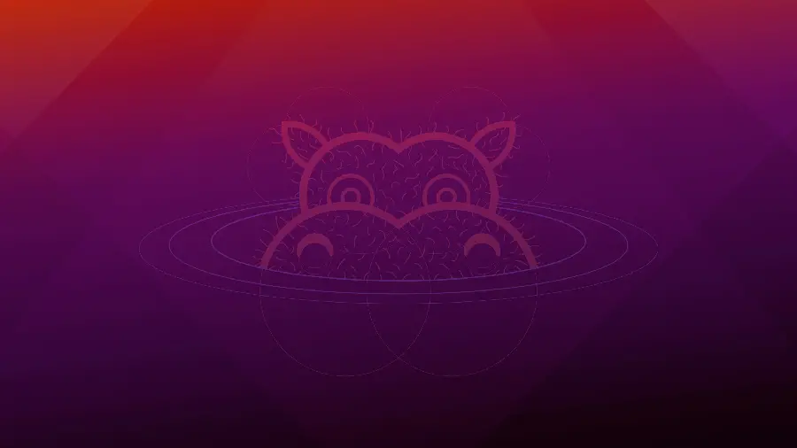 High Quality Hippopotamus Wallpaper