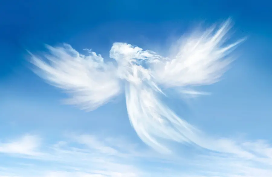 White Winged Angel Fantasy Photo Wallpaper in the Clouds
