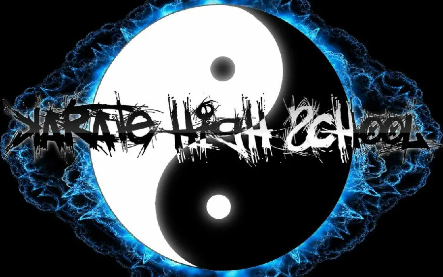 Image of the famous Yin and Yang logo and adult karate club