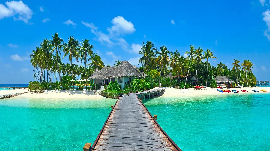Photos of the most amazing tourist attractions on the island of Jamaica