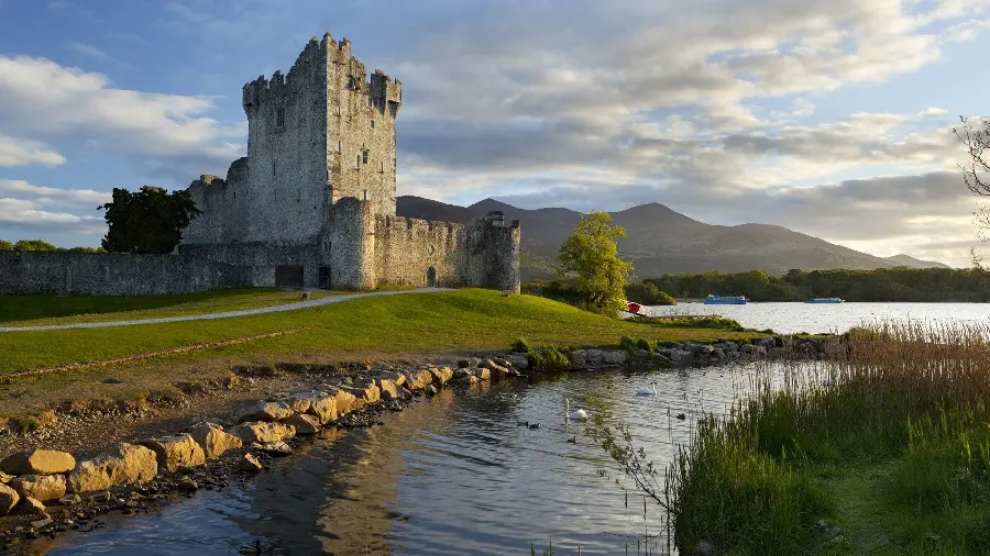 Southern Ireland spring nature wallpaper