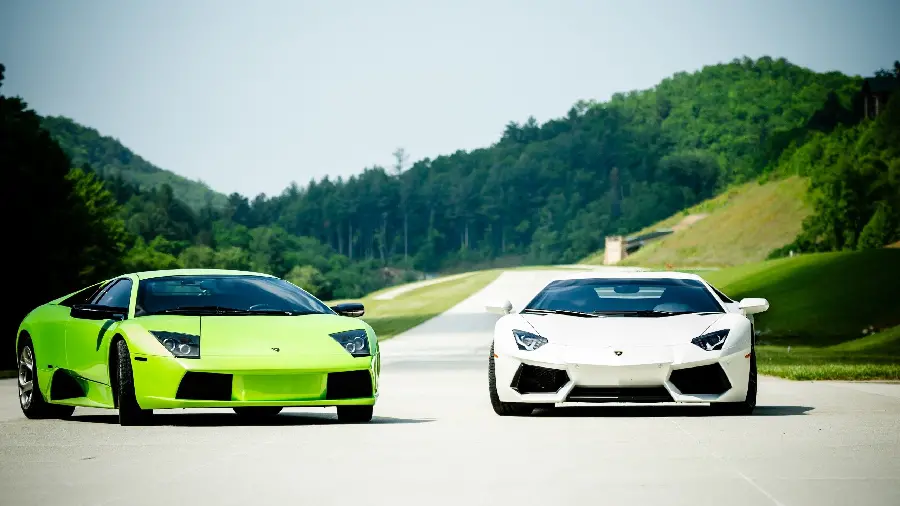 Image of two Lamborghini Murcielago cars in white and green for desktop with HD quality