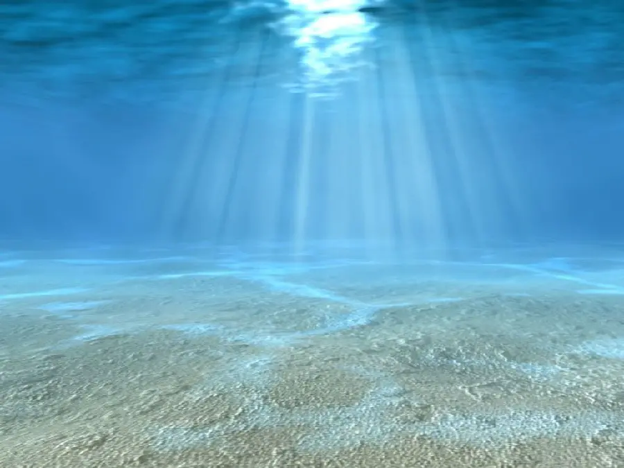 Beautiful picture of the depths of the ocean and clear water and sand on the seabed
