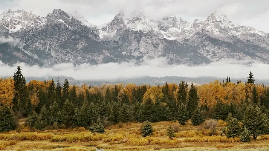 Beautiful picture of cold mountains covered with snow and autumn trees
