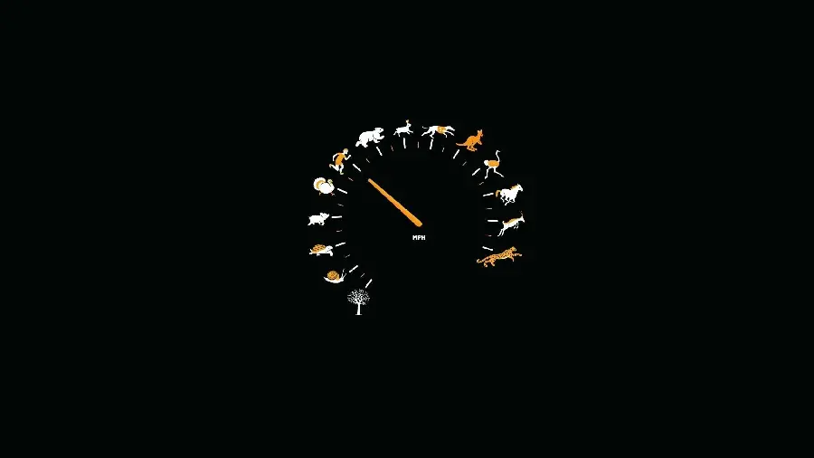 Interesting picture with the meaning of the speedometer of the car and its similarity to the speed of living things