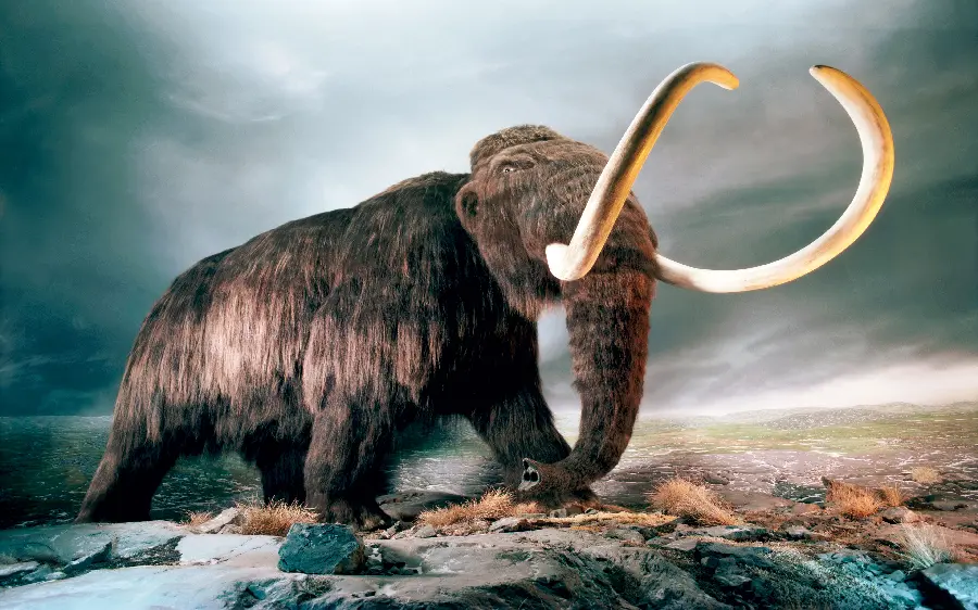 A photo of a mammoth looking at the troubled sky and dry land