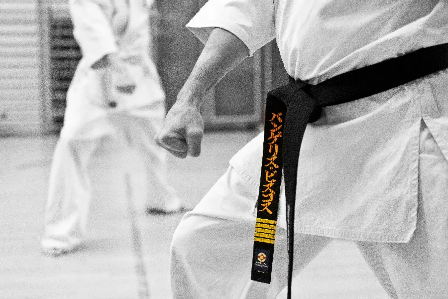 Karate martial arts poster and photo of a black belt master in Japanese karate style