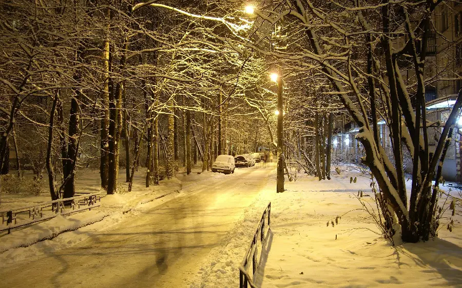 Download winter wallpaper Winter Landscapes HD and a bright street full of snow