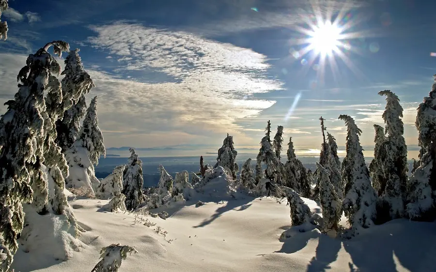 Stylish and luxurious winter photo for profile and Instagram