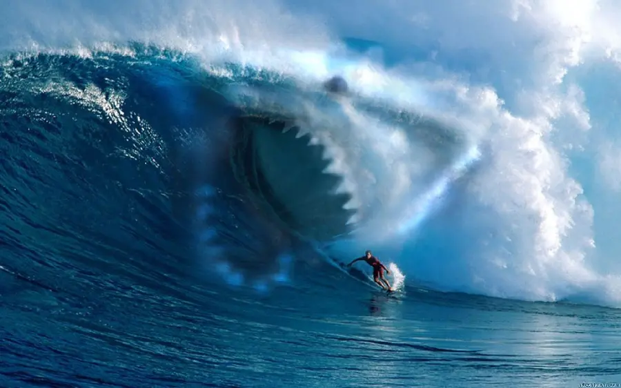 Amazing image of surfing in the ocean on a huge and terrible wave in the shape of a shark with the most beautiful Graphics