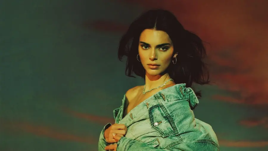 Kendall Jenner Photo for Printing on Large Size Banner