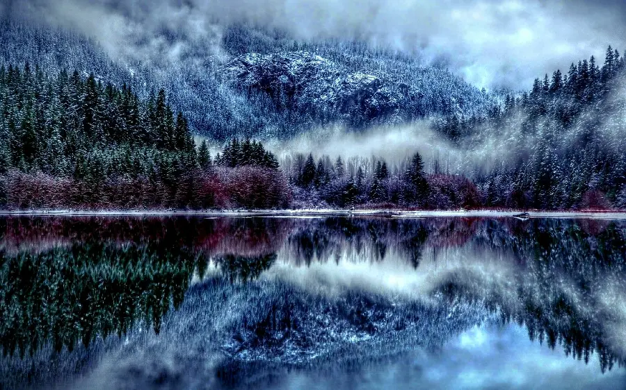 Beautiful photo of green and colorful trees covered with snow in the cold winter season