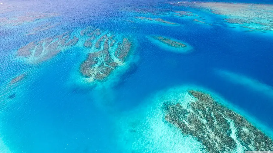 Photo from above coral reefs in water