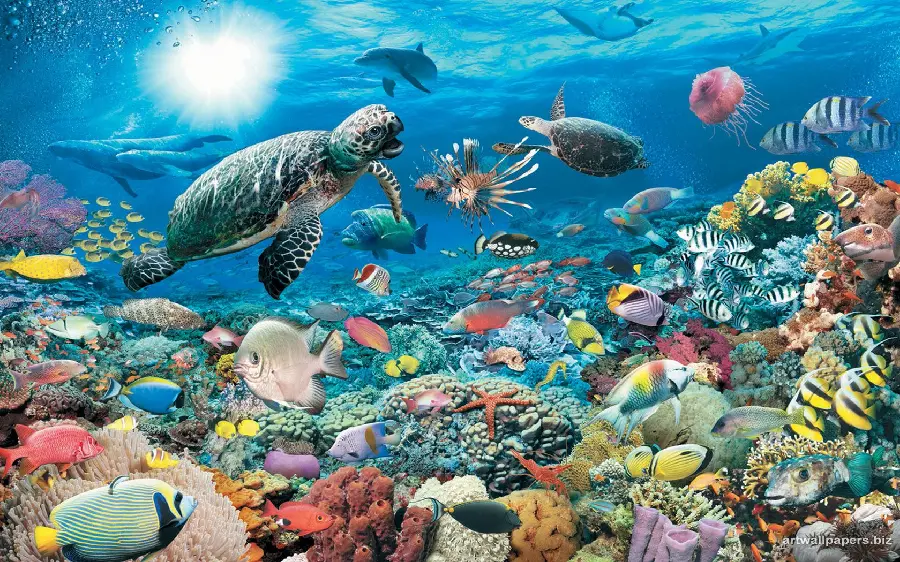Download wallpaper of underwater fish background HQ Water World Wallpaper