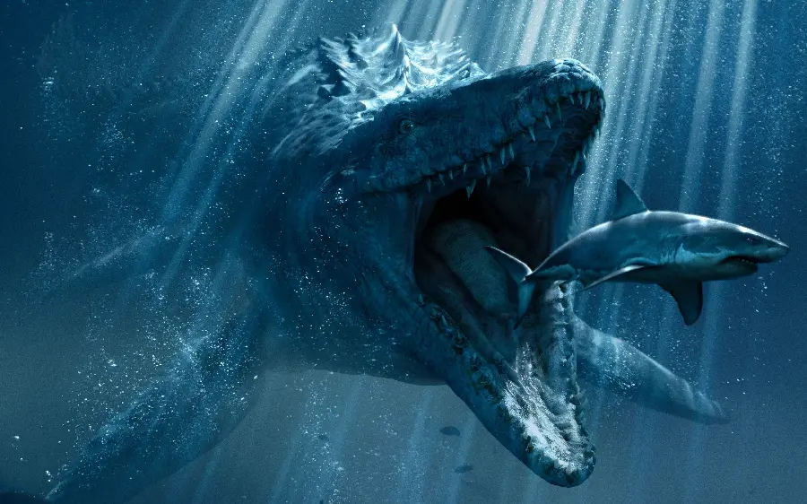 High quality underwater wallpaper with a large and giant whale