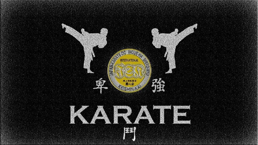 Image of a Japanese karate logo for martial arts profiles in high quality