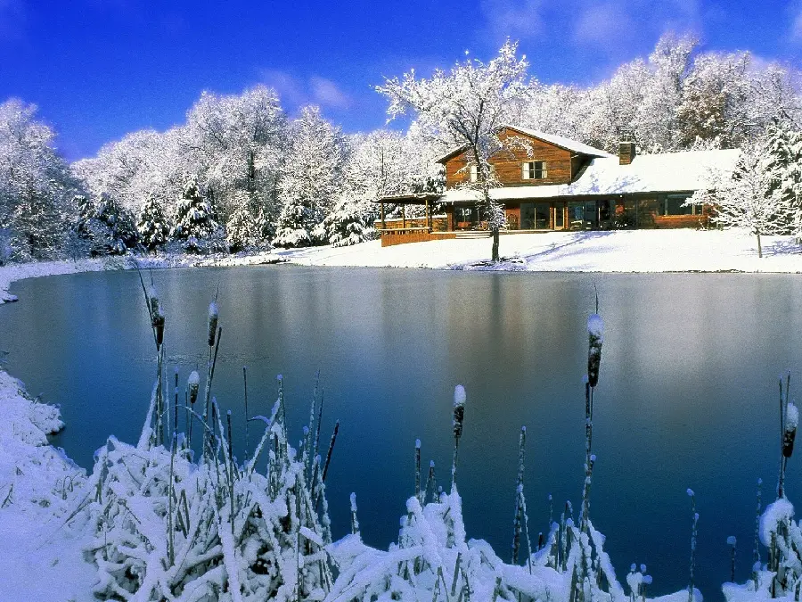 Photo of a forest house next to a beautiful pond in winter for social media profiles