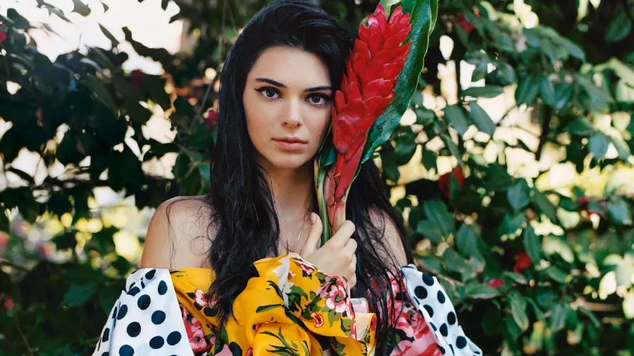 Photo of Kendall Jenner, a beautiful and famous American model, in HD quality