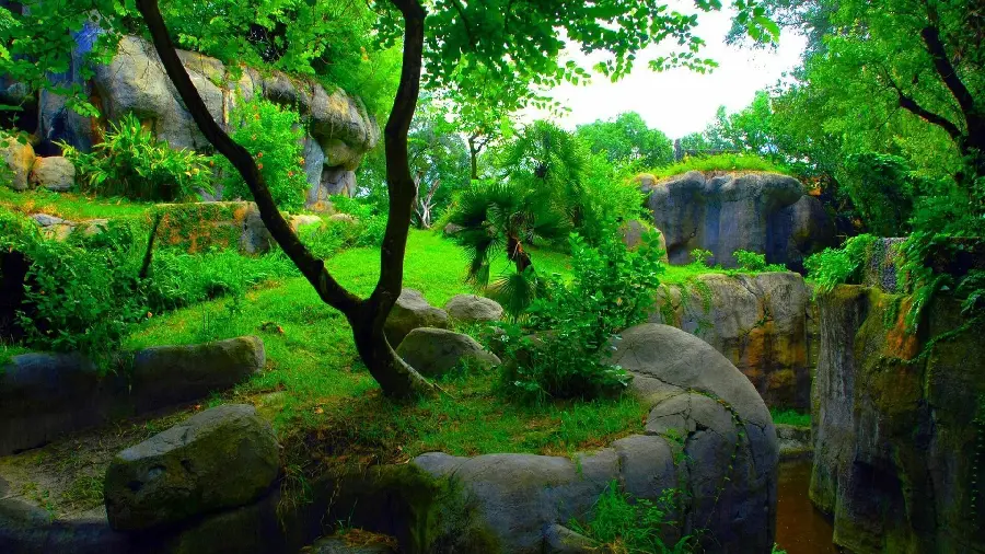 Attractive Wallpaper for desktop in full hd quality