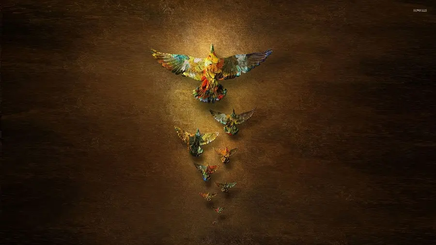 Colorful free bird photo