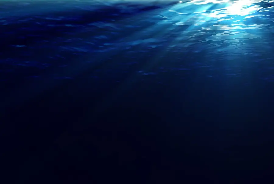A very beautiful and interesting photo of an underwater world and a close-up view of the sea surface