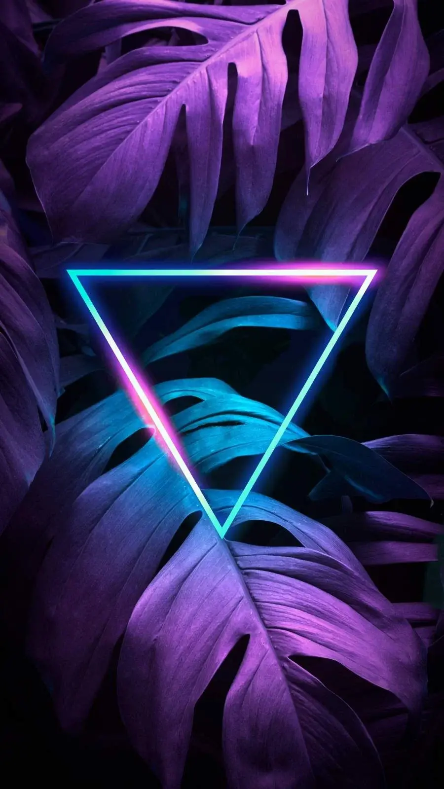 Download Neon Background for Apple iPhones