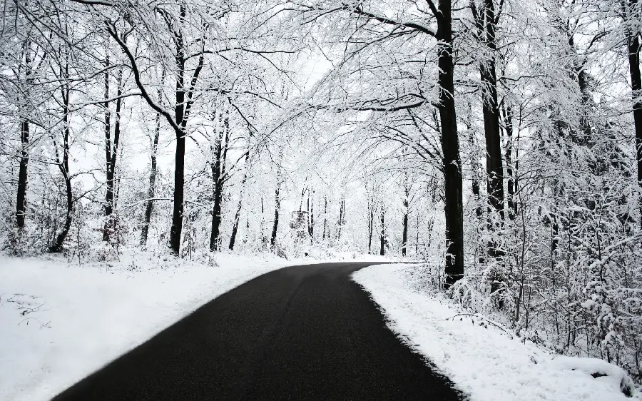 Photo of winter with white trees next to a black road for wallpaper