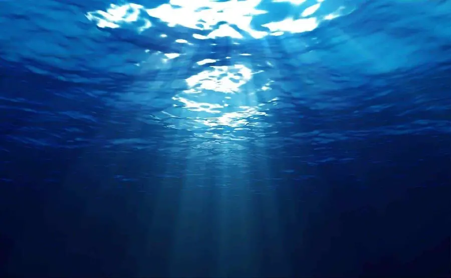 Photo of the inside and depths of the ocean with clear and bright water